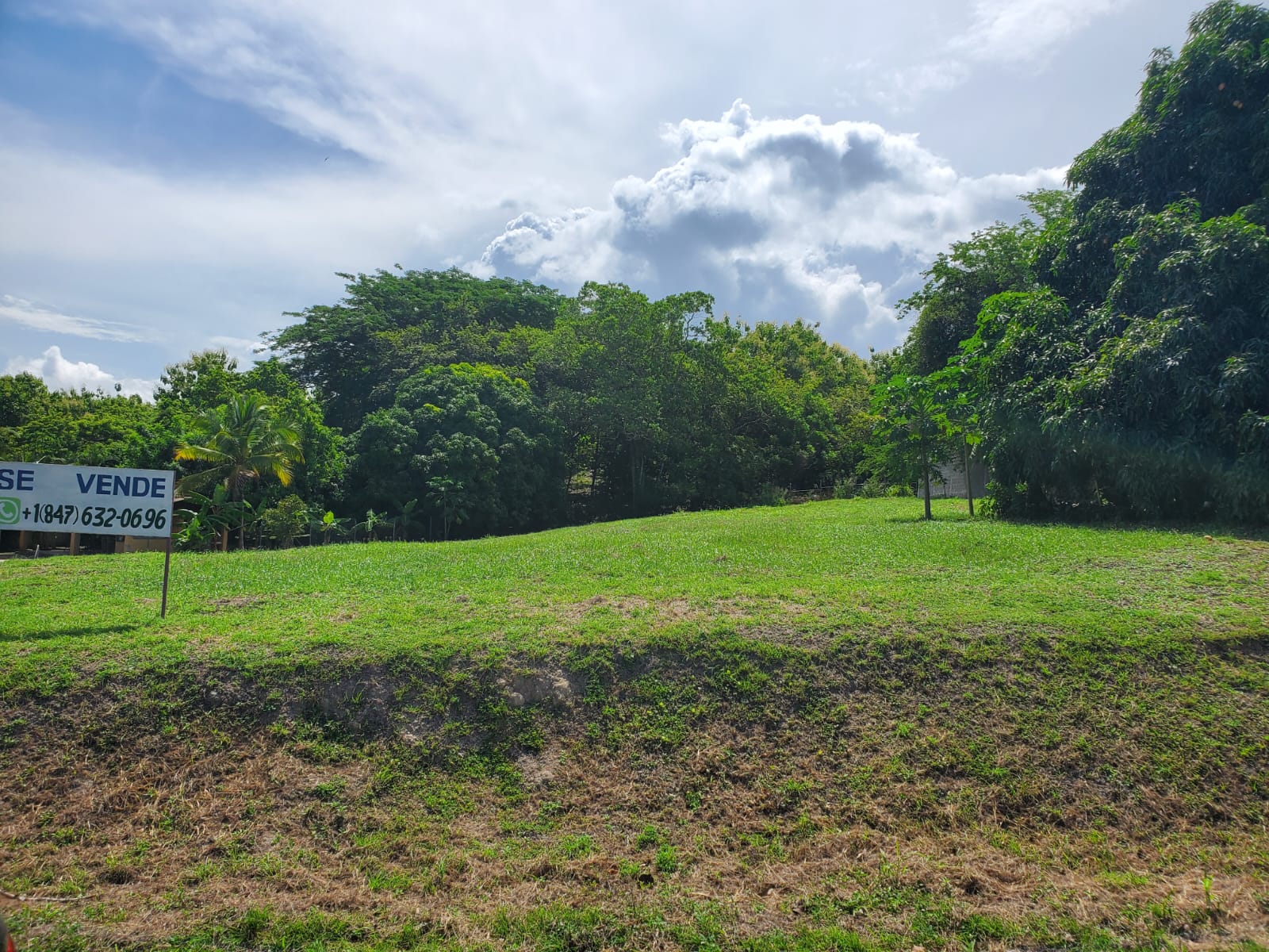 Build-Ready Ocean-View Land in Playa Corona, Panama